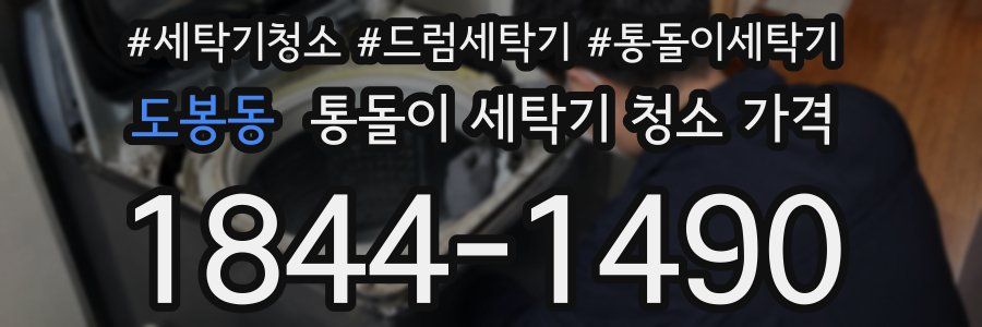 도봉동 통돌이 세탁기 청소 가격