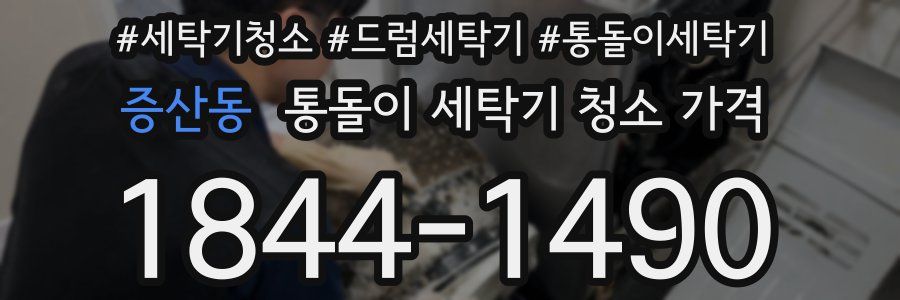 증산동 통돌이 세탁기 청소 가격