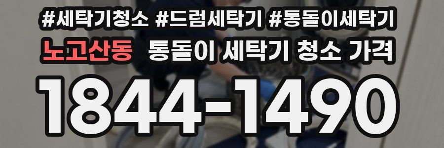 노고산동 통돌이 세탁기 청소 가격