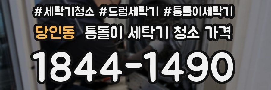 당인동 통돌이 세탁기 청소 가격