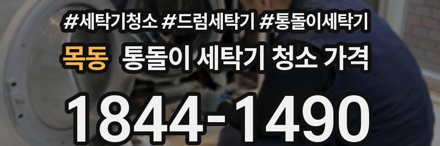 목동 통돌이 세탁기 청소 가격