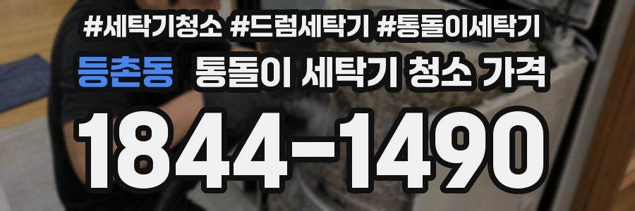 등촌동 통돌이 세탁기 청소 가격