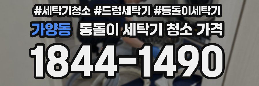 가양동 통돌이 세탁기 청소 가격