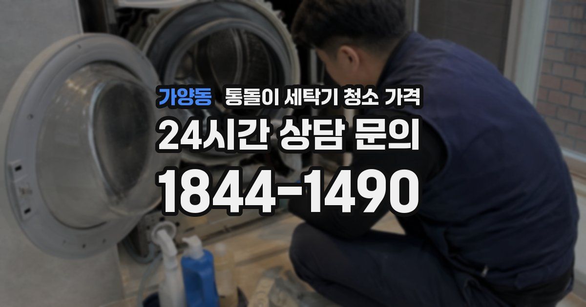 가양동 통돌이 세탁기 청소 가격