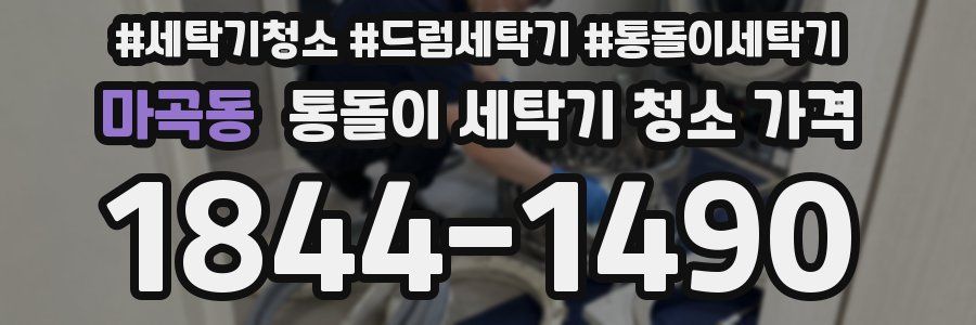 마곡동 통돌이 세탁기 청소 가격