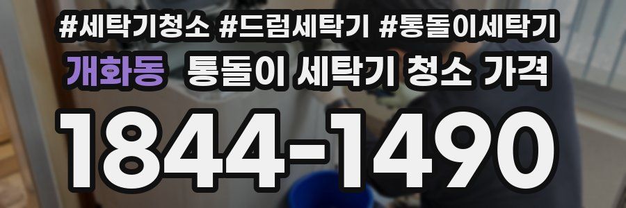 개화동 통돌이 세탁기 청소 가격