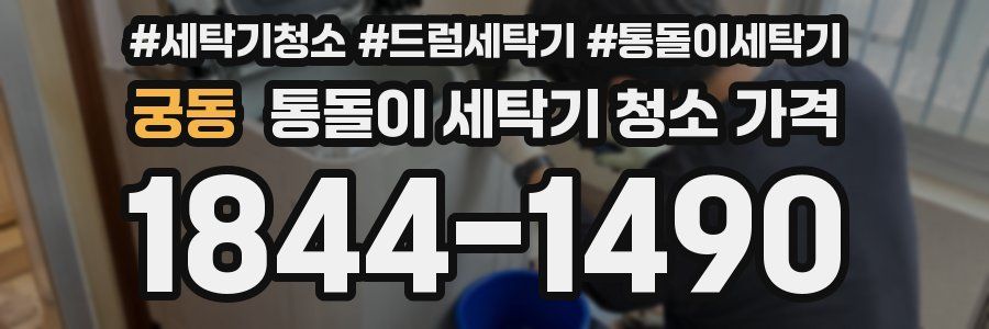 궁동 통돌이 세탁기 청소 가격