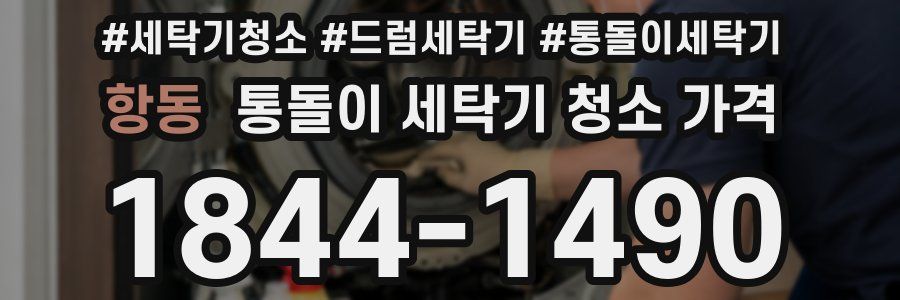 항동 통돌이 세탁기 청소 가격