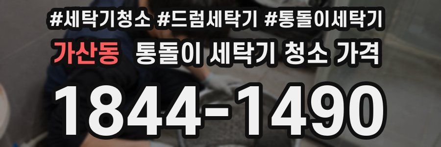 가산동 통돌이 세탁기 청소 가격