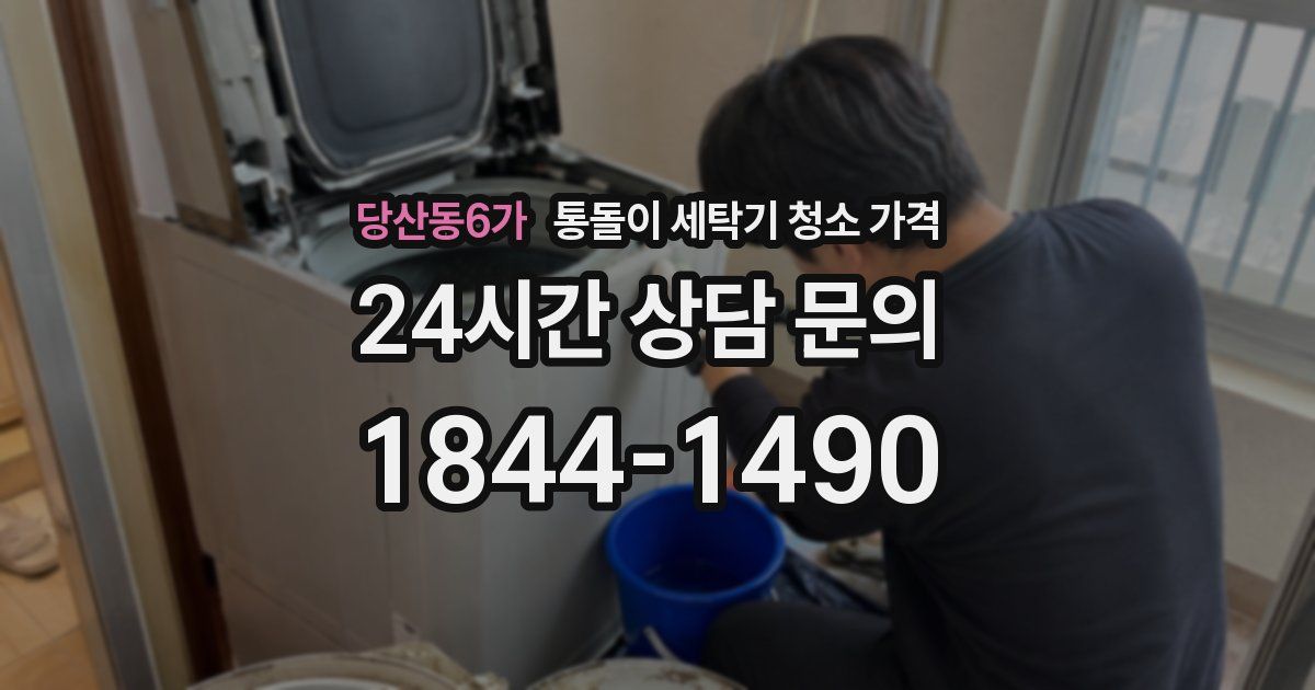 당산동6가 통돌이 세탁기 청소 가격