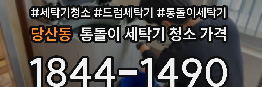 당산동 통돌이 세탁기 청소 가격
