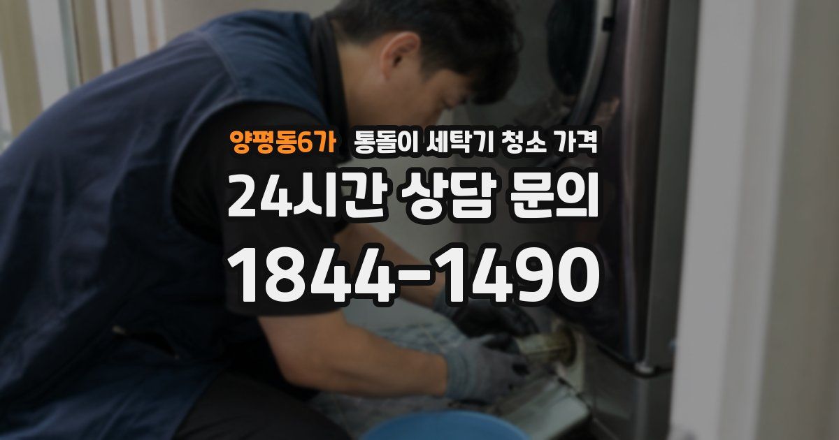 양평동6가 통돌이 세탁기 청소 가격