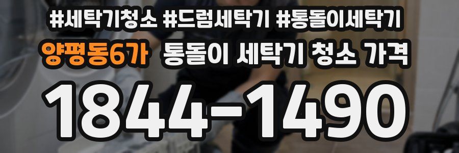 양평동6가 통돌이 세탁기 청소 가격