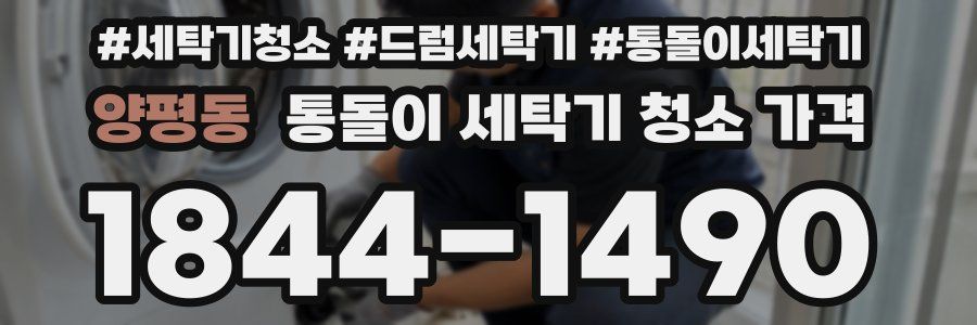 양평동 통돌이 세탁기 청소 가격
