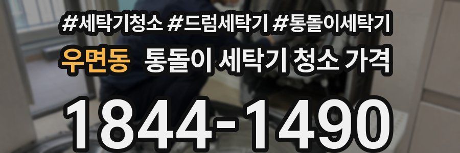 우면동 통돌이 세탁기 청소 가격