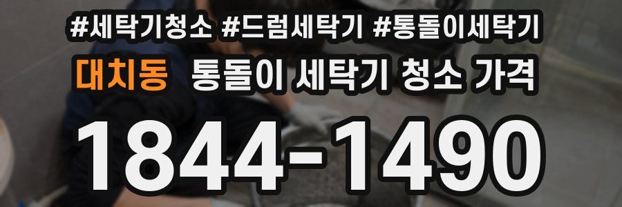 대치동 통돌이 세탁기 청소 가격