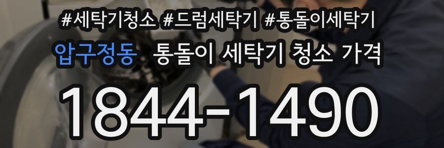 압구정동 통돌이 세탁기 청소 가격