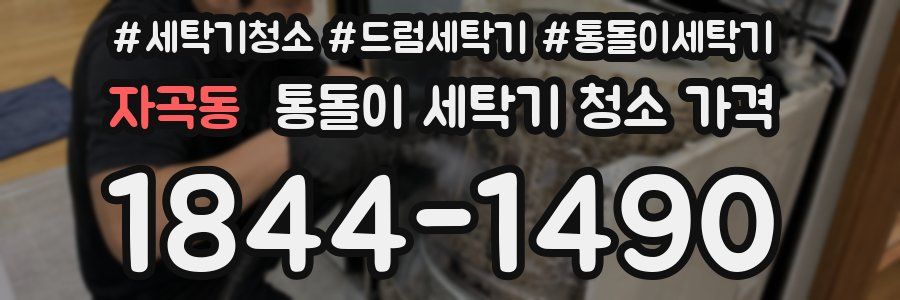 자곡동 통돌이 세탁기 청소 가격