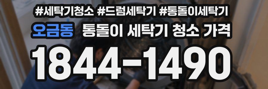 오금동 통돌이 세탁기 청소 가격