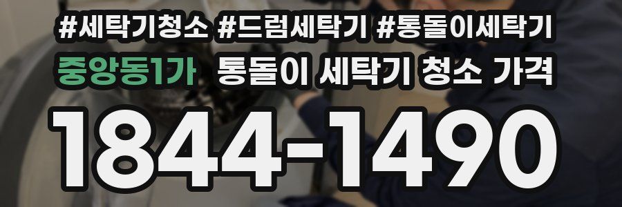 중앙동1가 통돌이 세탁기 청소 가격
