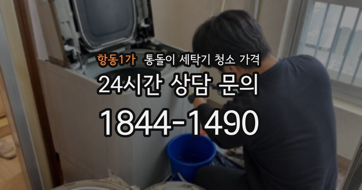 항동1가 통돌이 세탁기 청소 가격