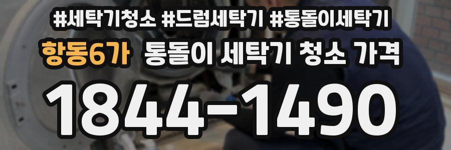 항동6가 통돌이 세탁기 청소 가격