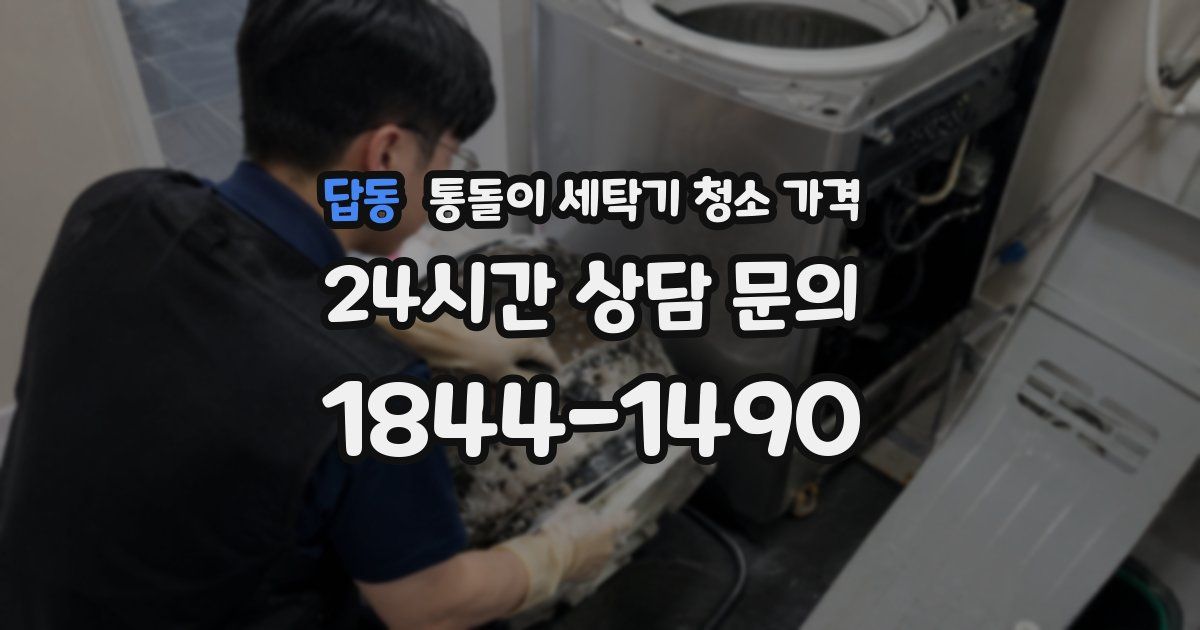 답동 통돌이 세탁기 청소 가격