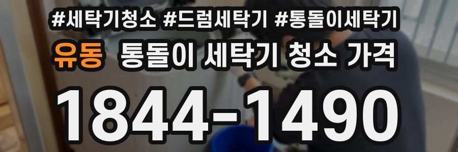 유동 통돌이 세탁기 청소 가격