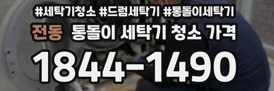 전동 통돌이 세탁기 청소 가격