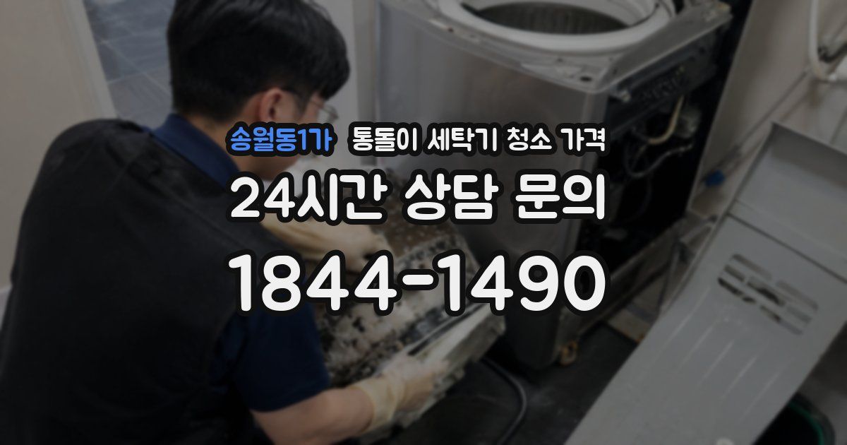 송월동1가 통돌이 세탁기 청소 가격