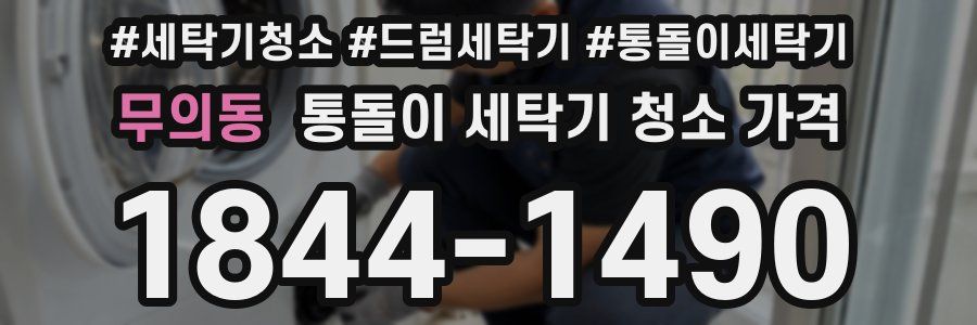 무의동 통돌이 세탁기 청소 가격