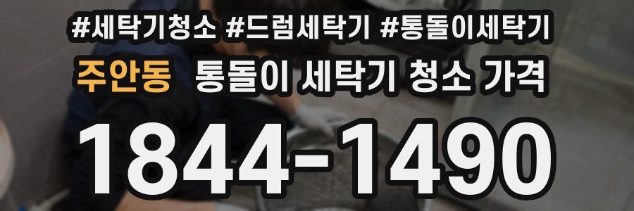 주안동 통돌이 세탁기 청소 가격