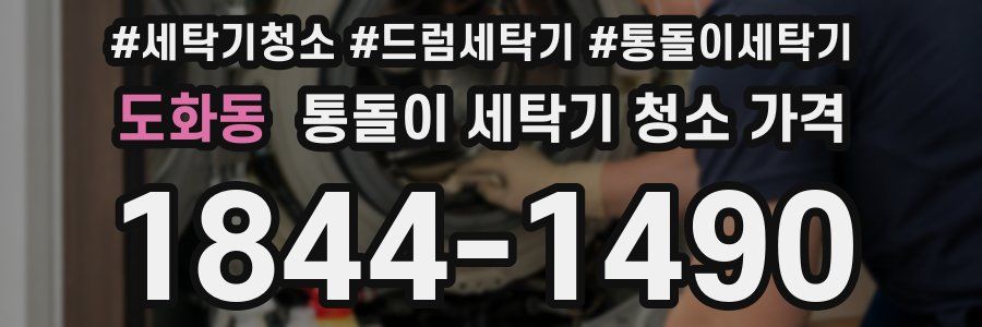 도화동 통돌이 세탁기 청소 가격
