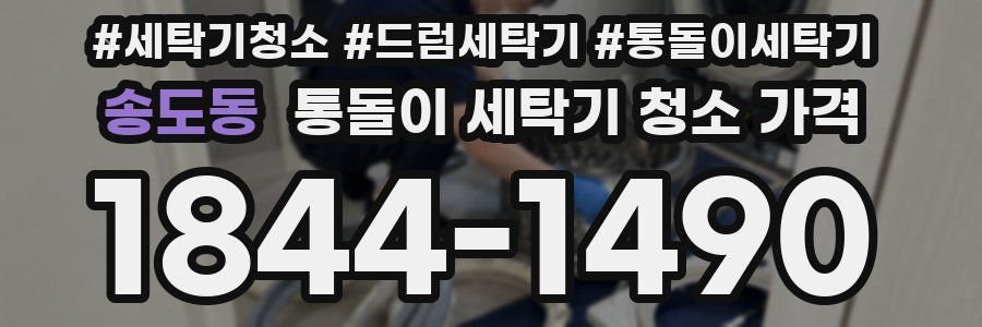 송도동 통돌이 세탁기 청소 가격