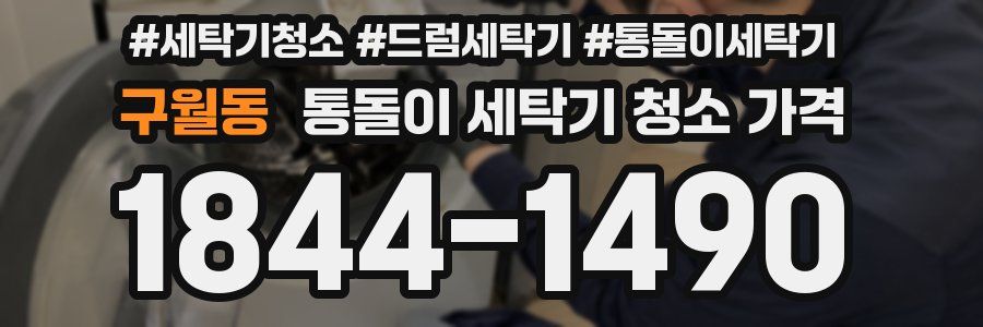 구월동 통돌이 세탁기 청소 가격
