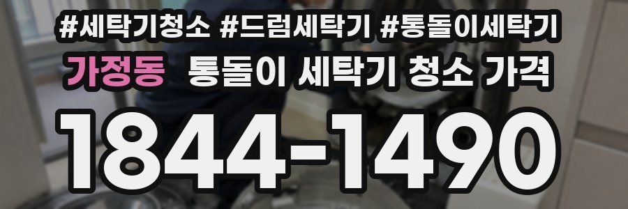 가정동 통돌이 세탁기 청소 가격