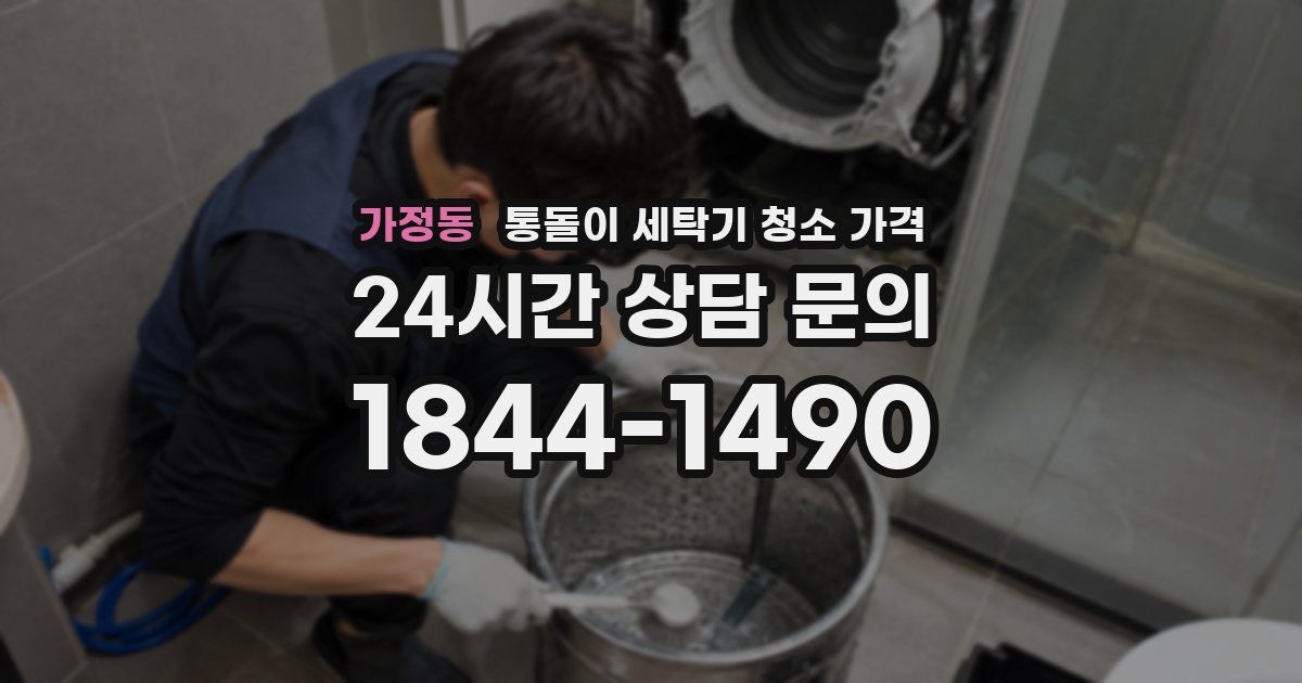 가정동 통돌이 세탁기 청소 가격