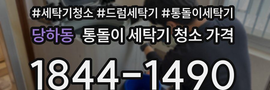 당하동 통돌이 세탁기 청소 가격