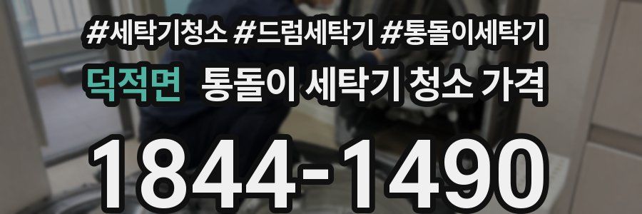 덕적면 통돌이 세탁기 청소 가격