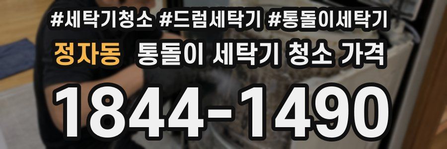 정자동 통돌이 세탁기 청소 가격