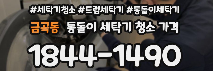 금곡동 통돌이 세탁기 청소 가격