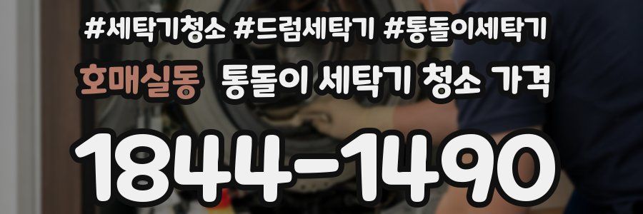 호매실동 통돌이 세탁기 청소 가격