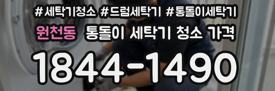 원천동 통돌이 세탁기 청소 가격