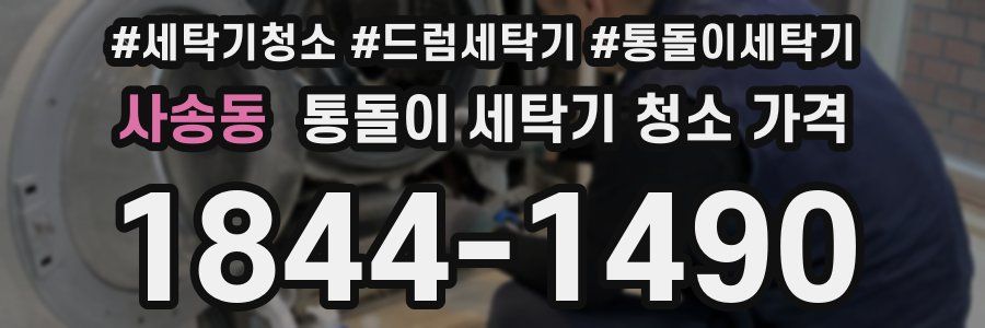 사송동 통돌이 세탁기 청소 가격