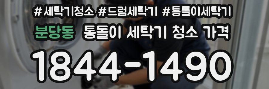 분당동 통돌이 세탁기 청소 가격