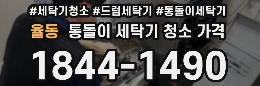 율동 통돌이 세탁기 청소 가격
