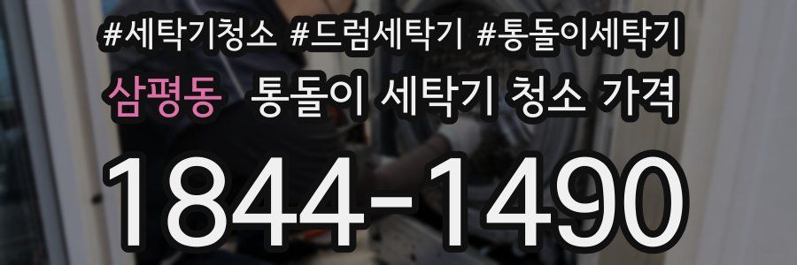 삼평동 통돌이 세탁기 청소 가격