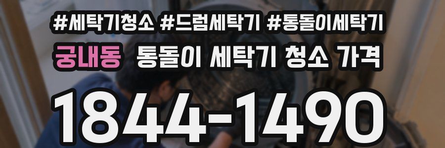 궁내동 통돌이 세탁기 청소 가격