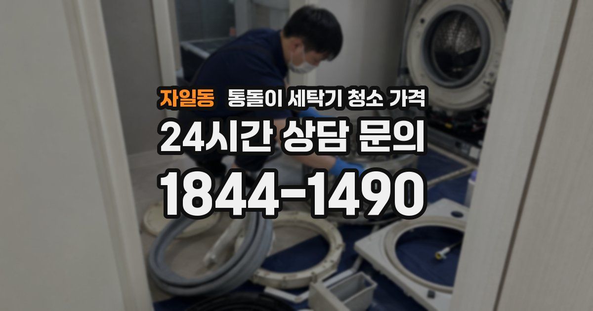 자일동 통돌이 세탁기 청소 가격