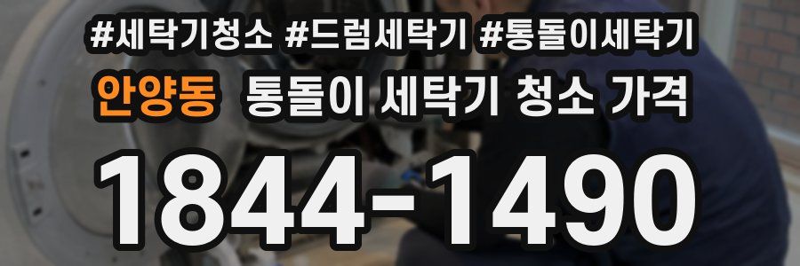 안양동 통돌이 세탁기 청소 가격